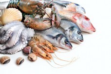 海鮮圖庫新寵 聚焦尤魚素材，一站式滿足你的設(shè)計與靈感需求